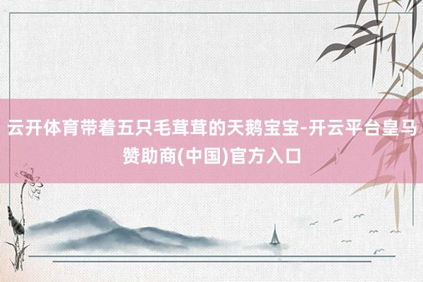 云开体育带着五只毛茸茸的天鹅宝宝-开云平台皇马赞助商(中国)官方入口