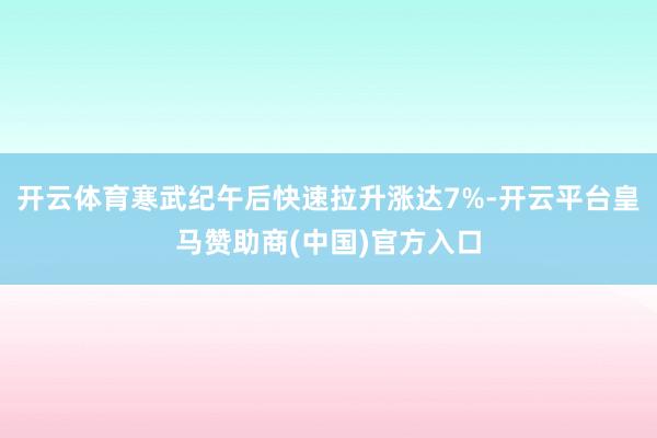 开云体育寒武纪午后快速拉升涨达7%-开云平台皇马赞助商(中国)官方入口