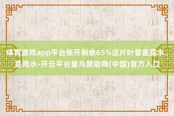 体育游戏app平台张开剩余65%这片叶曾是露水、是雨水-开云平台皇马赞助商(中国)官方入口